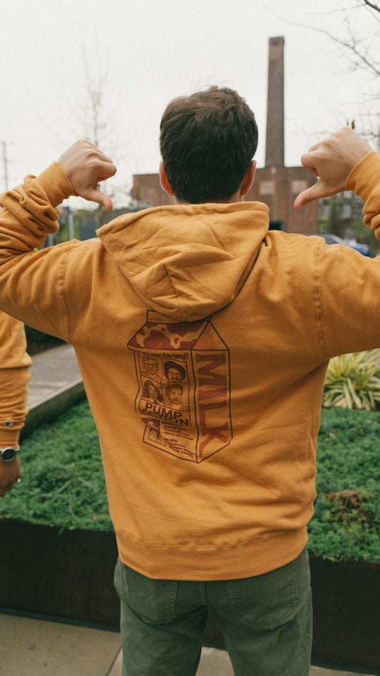 "Have You Seen This Band?" Hoodie