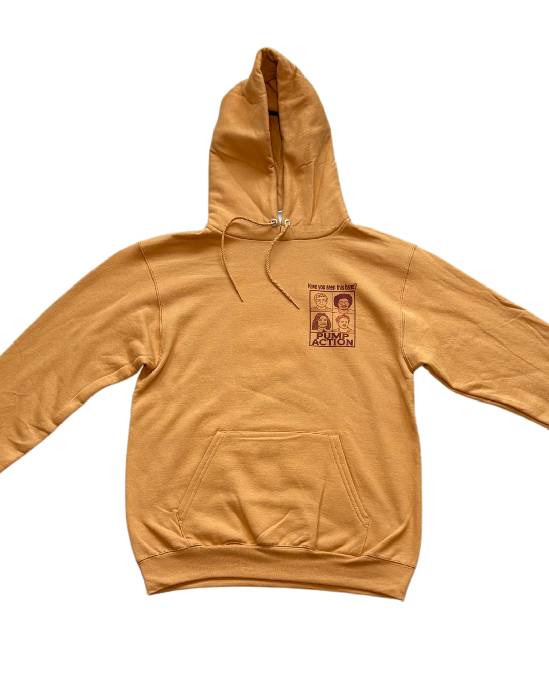 "Have You Seen This Band?" Hoodie