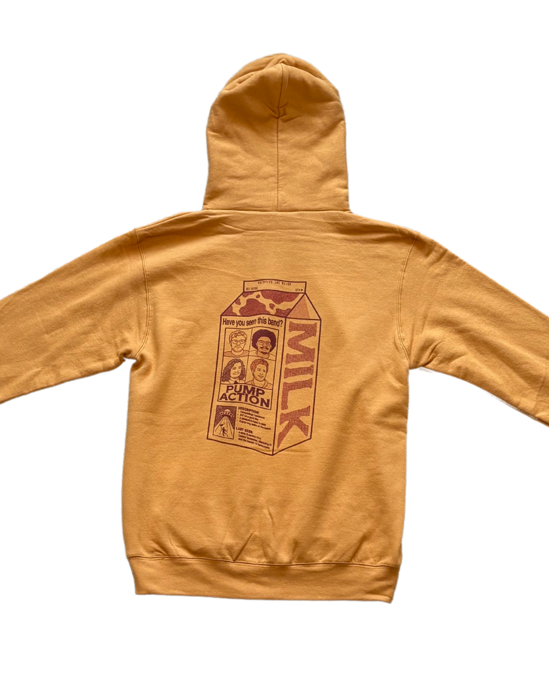 "Have You Seen This Band?" Hoodie